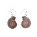 Conch Shell Fossils Animal Dangle Hook Earring